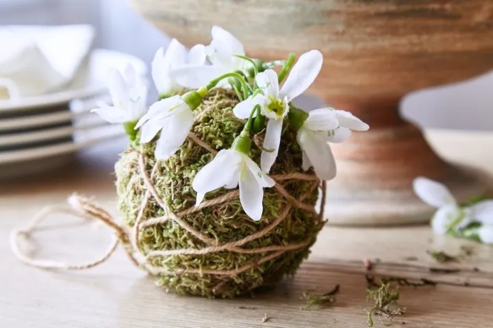 ARANZMA-PRE-MESIAC-FEBRUAR-GULE-SO-SNEZENKAMI