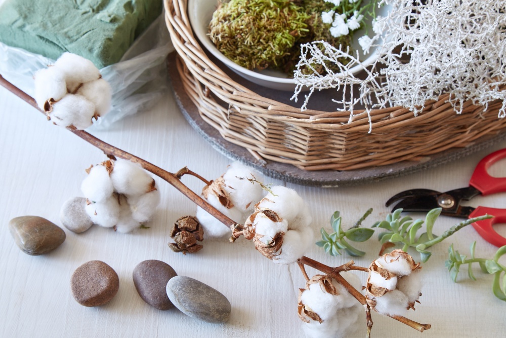 Februárové kvetinové radosti 2