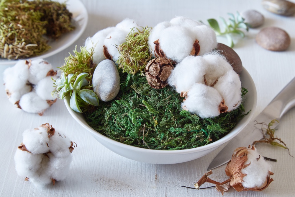 Februárové kvetinové radosti 3