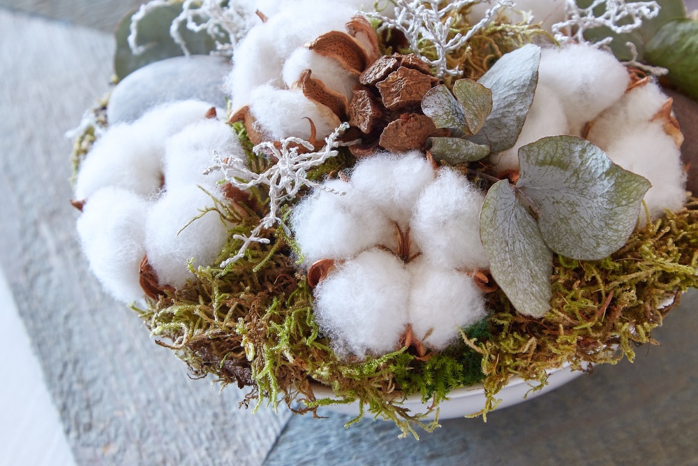 Februárové kvetinové radosti 4