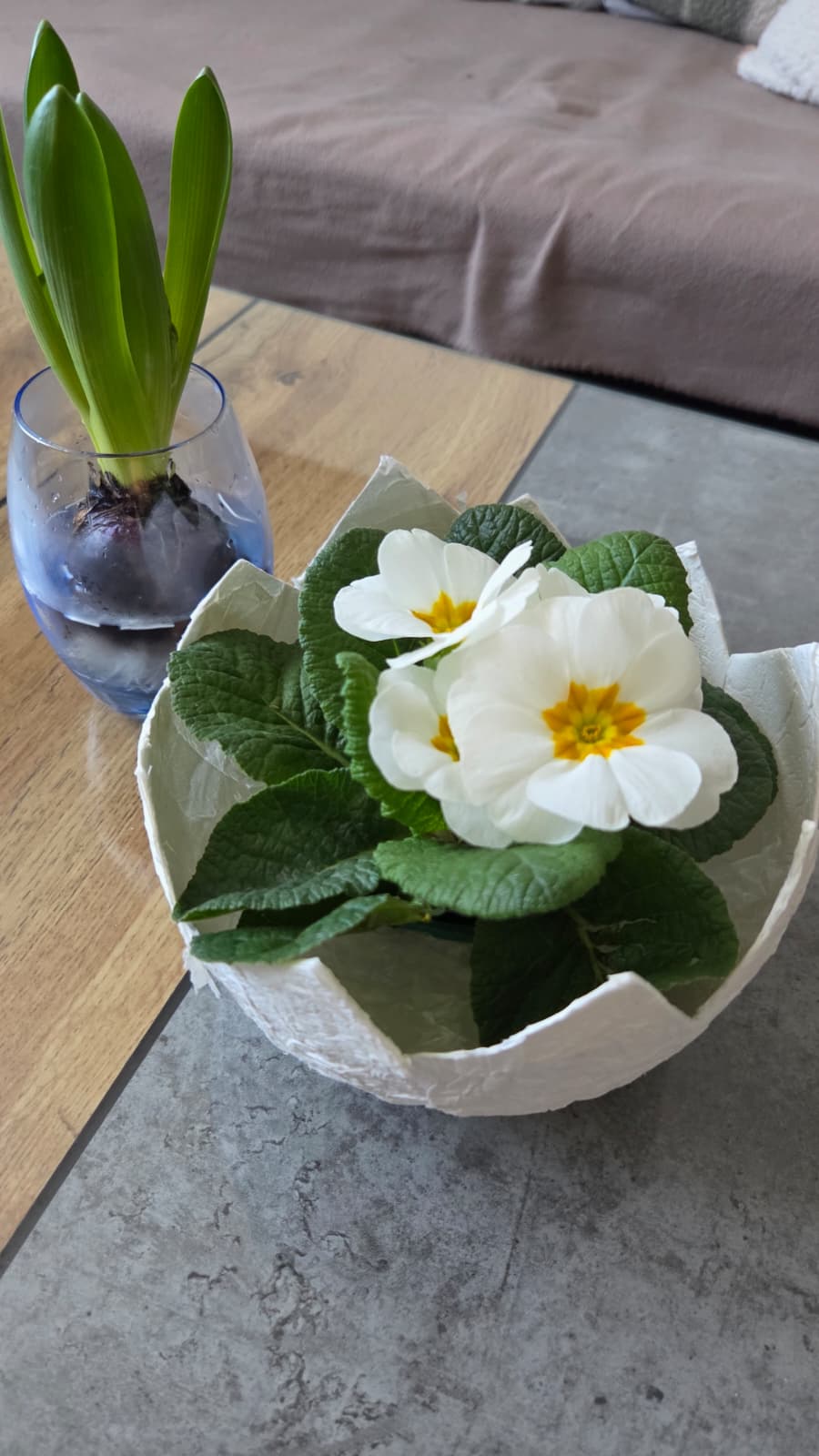 WhatsApp-Image-2026-03-01-at-12.58.25