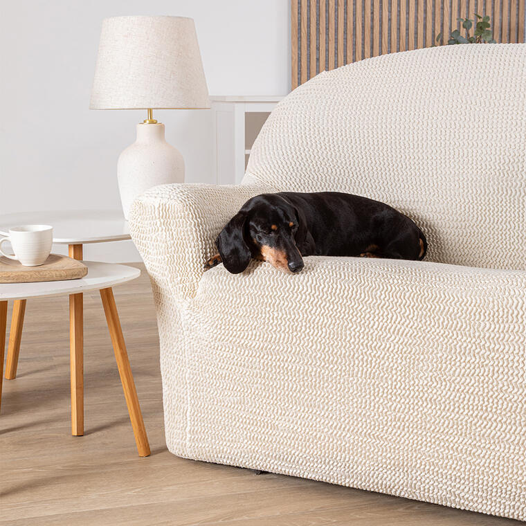 57253_img_2742_eshop_z8