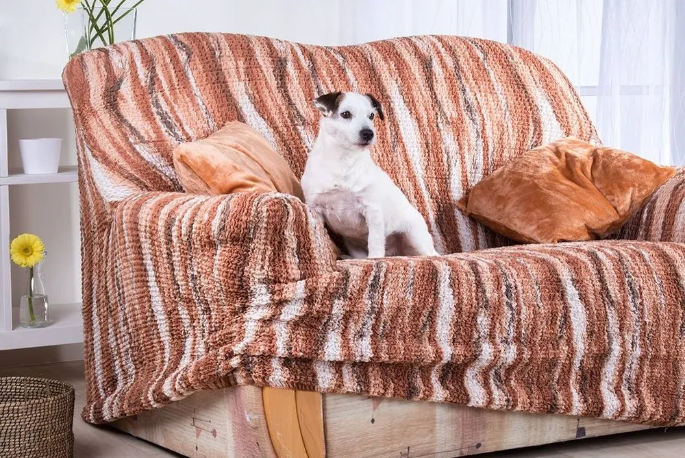 Ako-sa-zbavit-zvieracich-chlpov