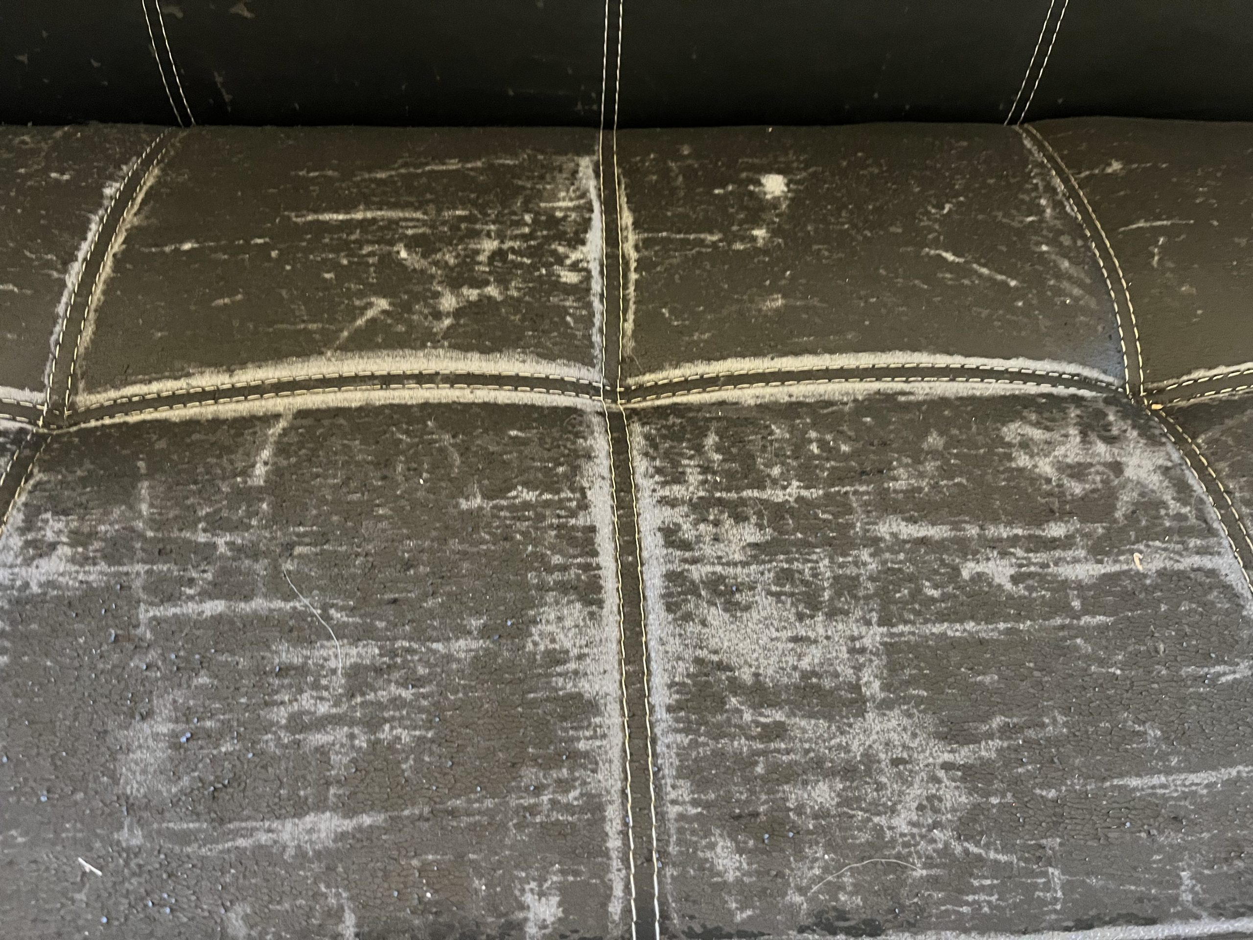 IMG_8998-scaled